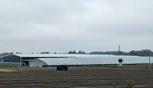 适用边界：信息技术咨询服务在哪些场景下适用、哪些场景受限