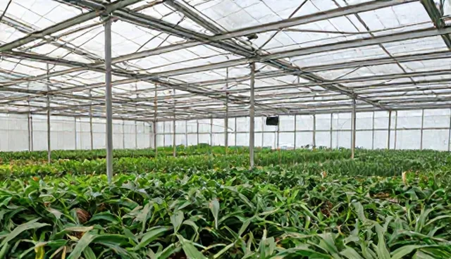 核对清单：APP开发中用户体验设计要点